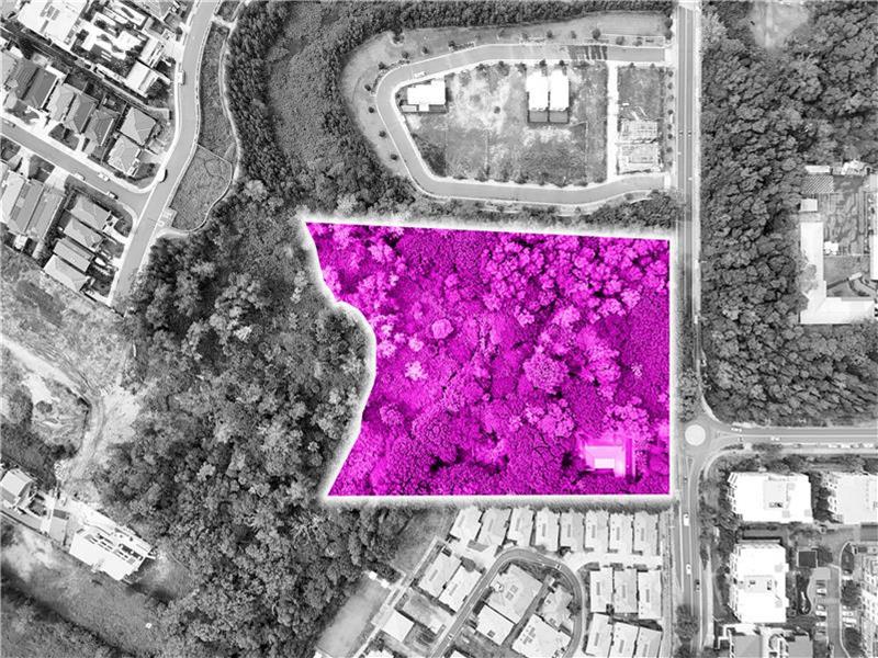 4 Macpherson Street, Warriewood, NSW 2102